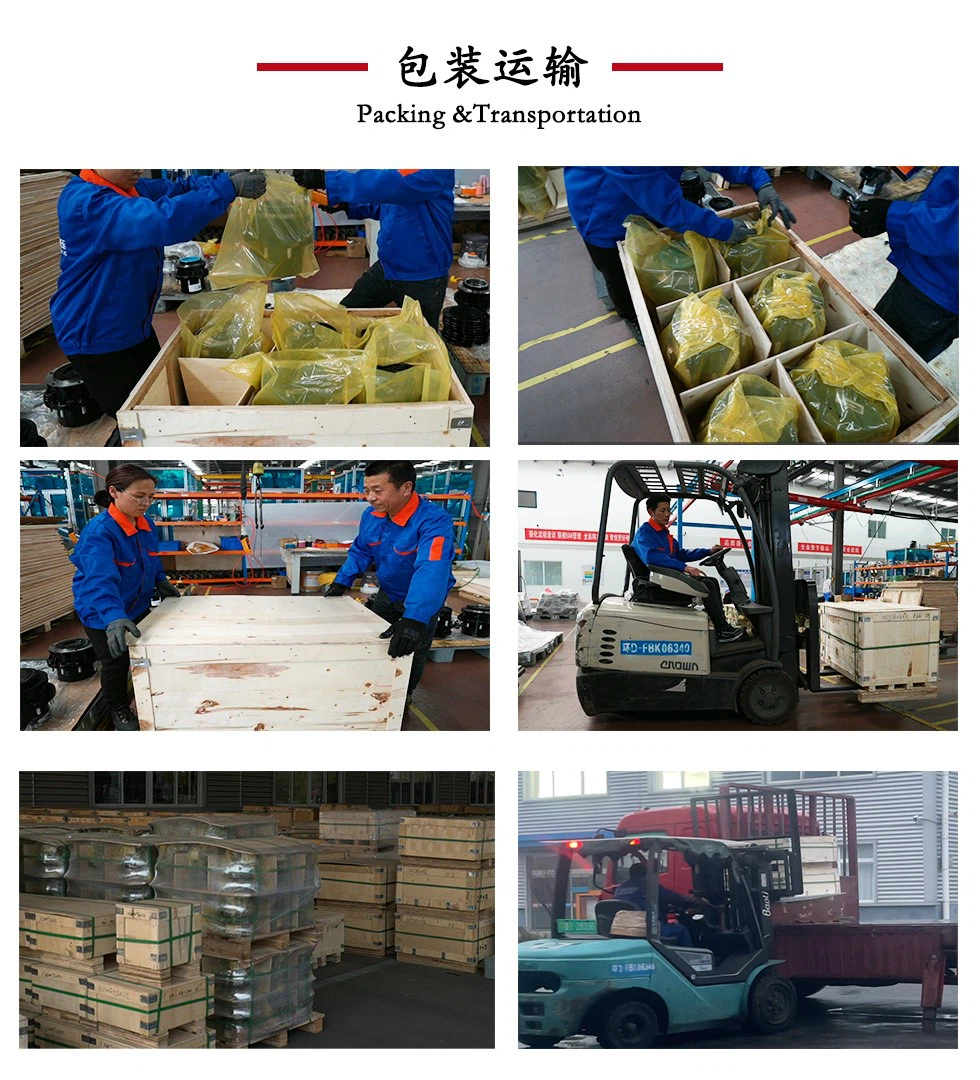 product-980-1080 product-980-1080